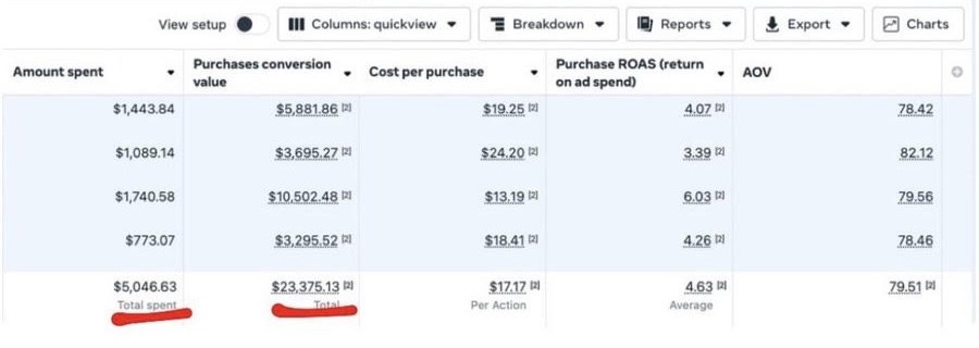 Ads Manager: $5,046.63 spent, $23,375.13 in purchases, $17.17 cost per purchase, 4.63 ROAS, $79.51 AOV